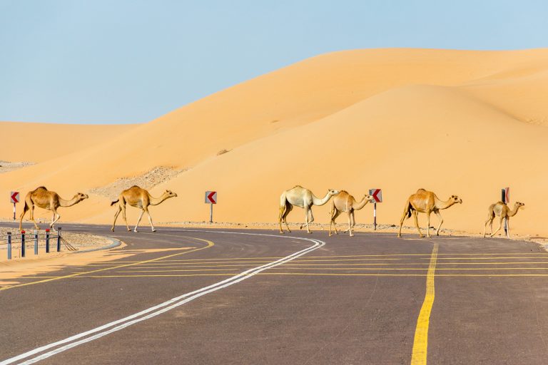 Dubai Roads