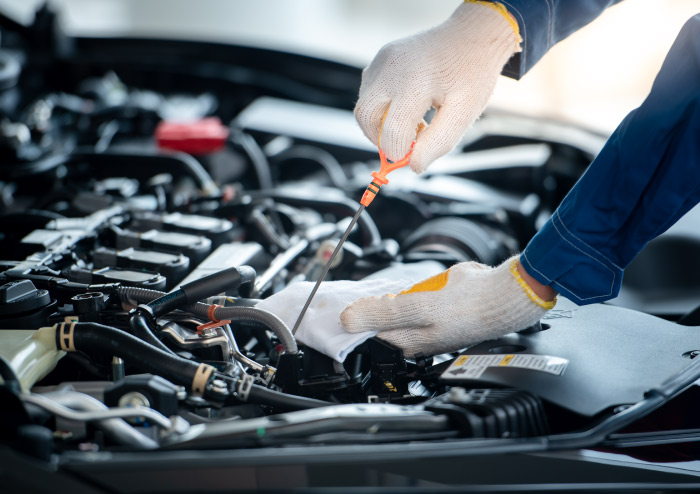 Car oil and fluid check