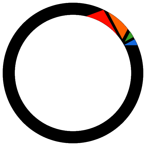 Carcility loader